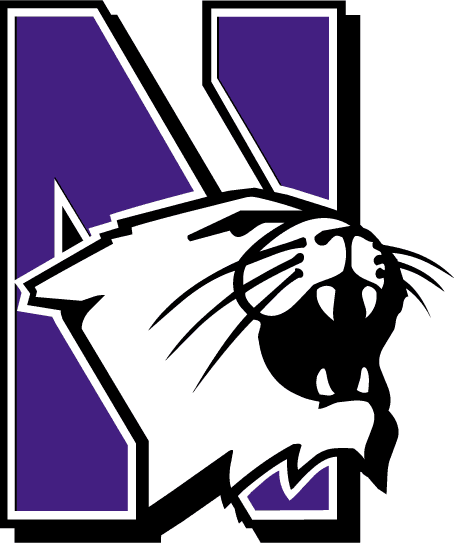 Northwestern Wildcats decals